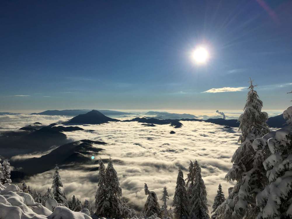 20161022_064427237_ios-2048