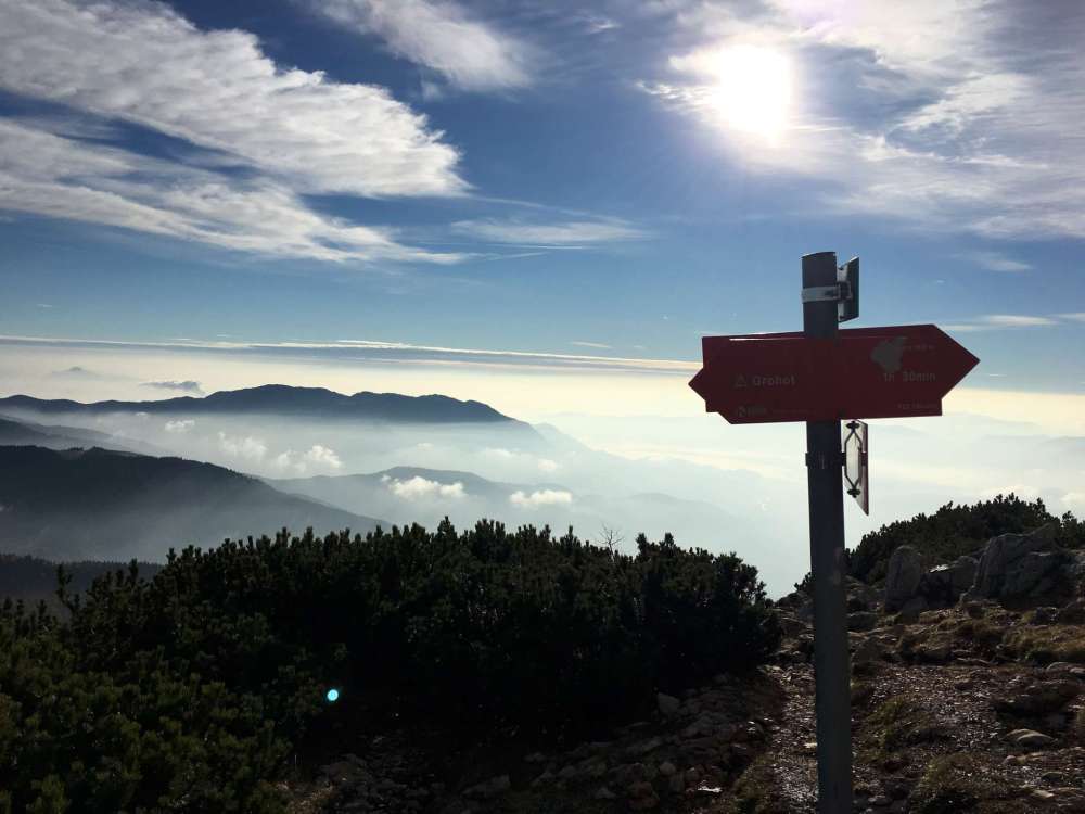 20161030_073328382_ios-2048