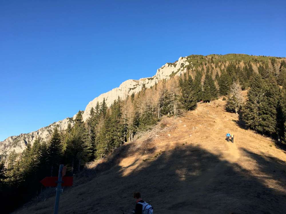 20170102_081559043_ios-2048