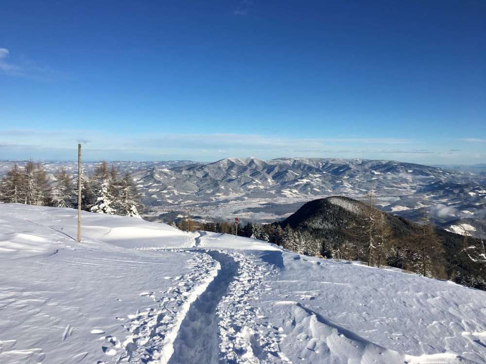 20170114_135326812_ios-2048