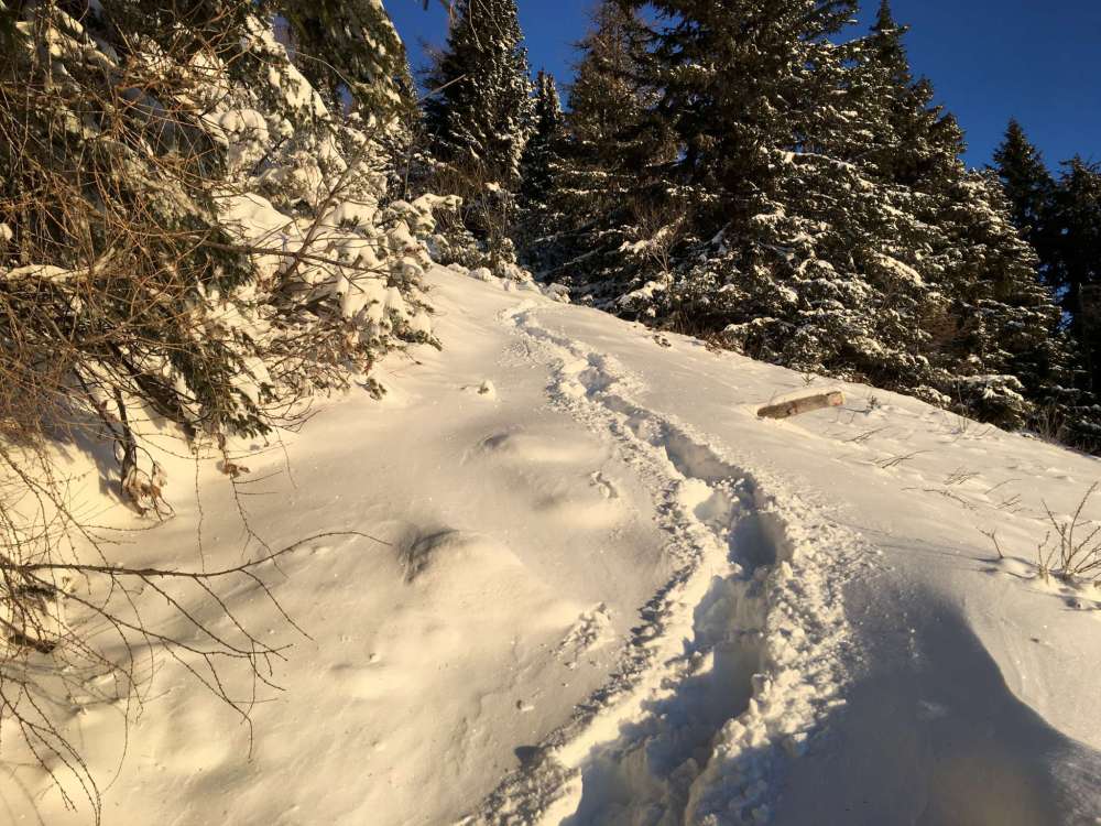 20170115_071351213_ios-2048