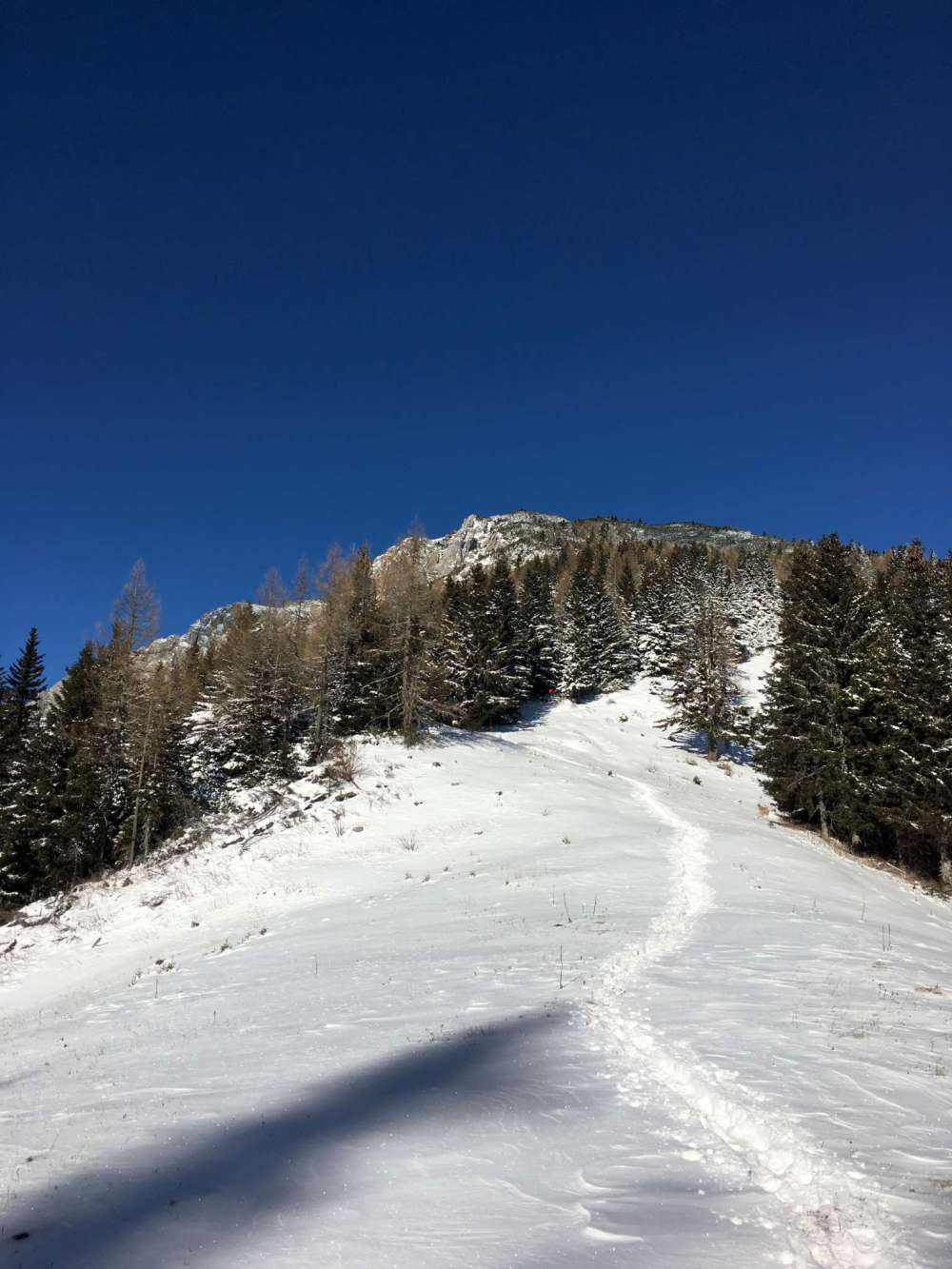 20170115_094429182_ios-2048