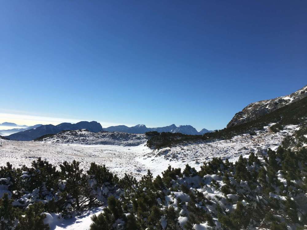 20170124_103542942_ios-2048