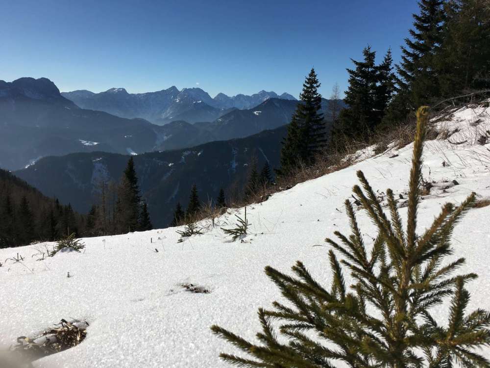 20170124_110514035_ios-2048