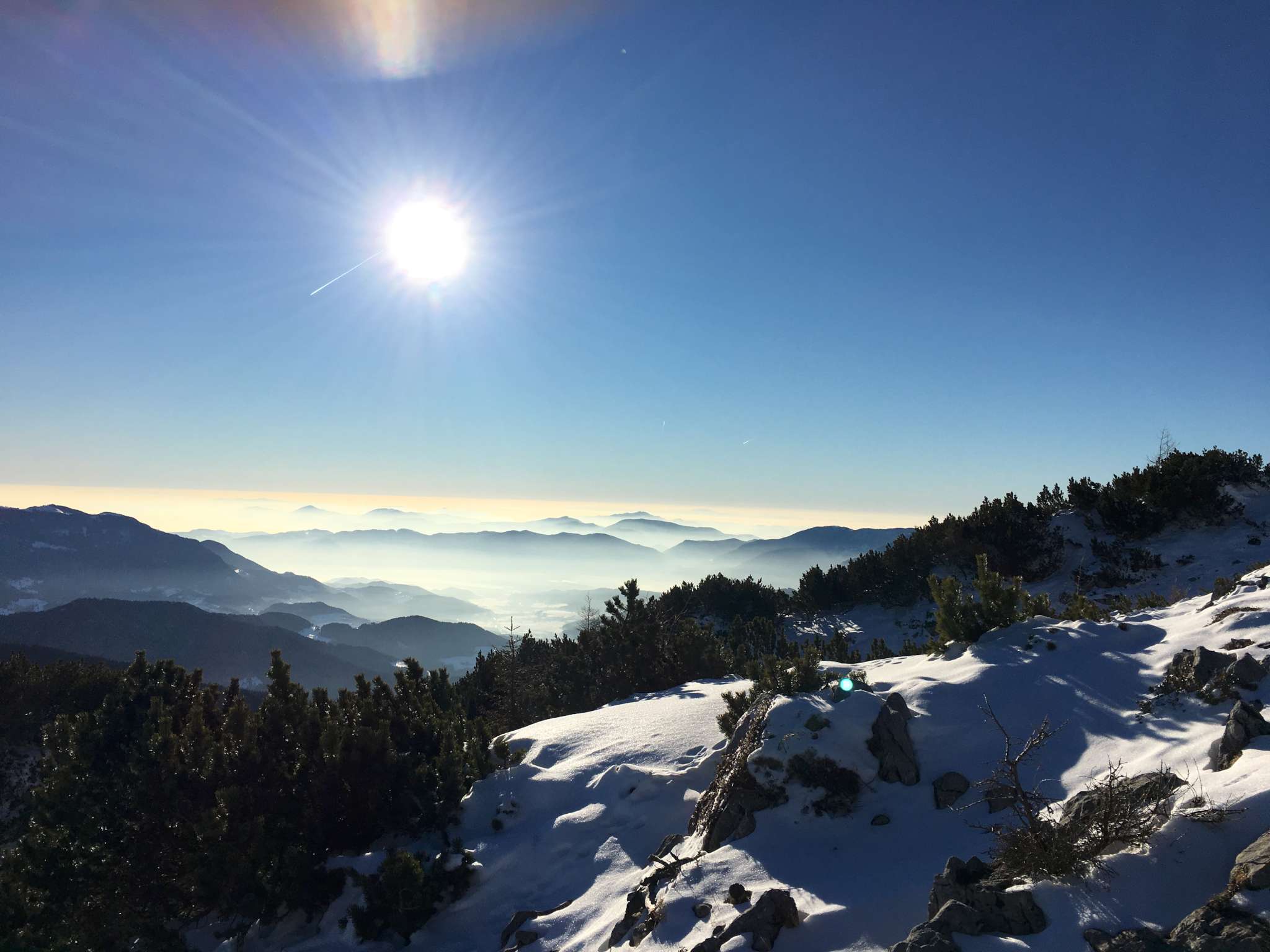 20170128_080155108_ios-2048