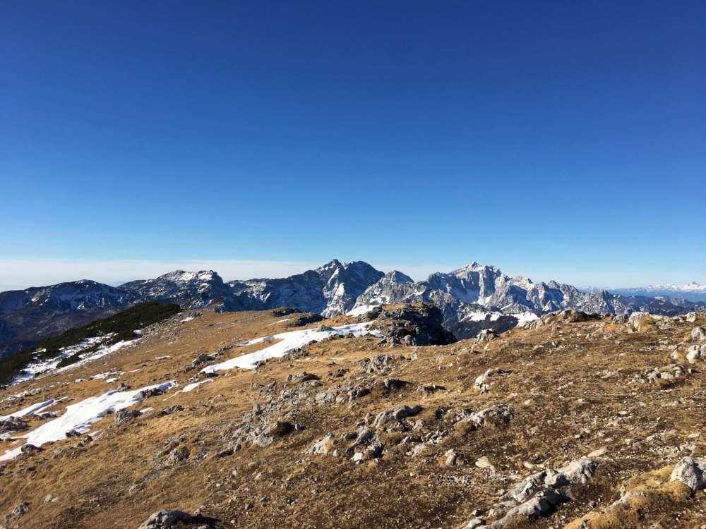 20170128_085043841_ios-2048