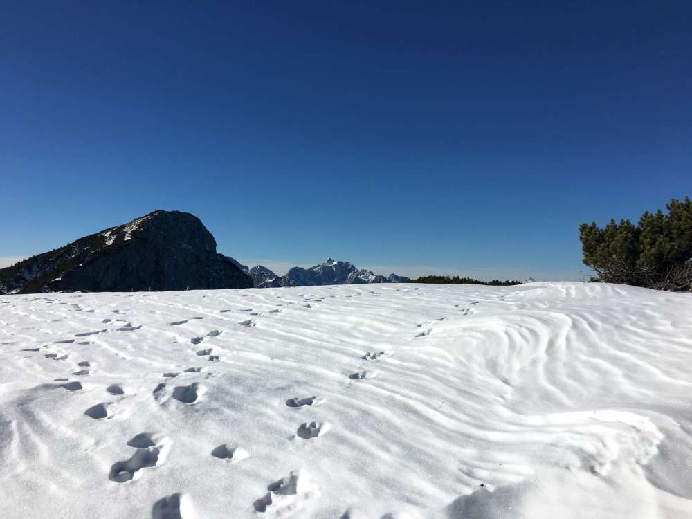 20170128_102657661_ios-2048