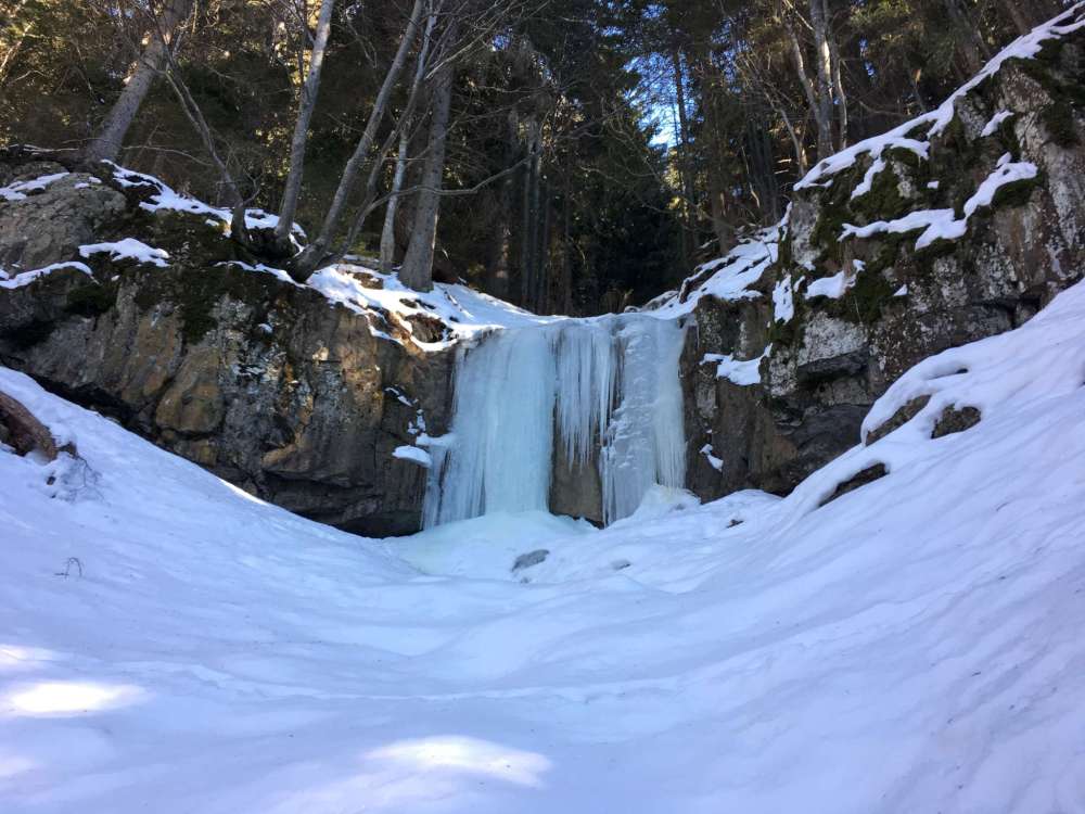 20170128_121022740_ios-2048