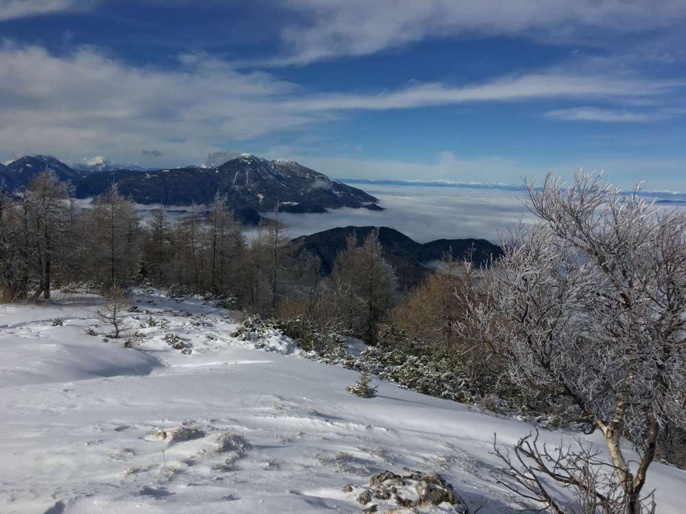 20170205_095937240_ios-2048