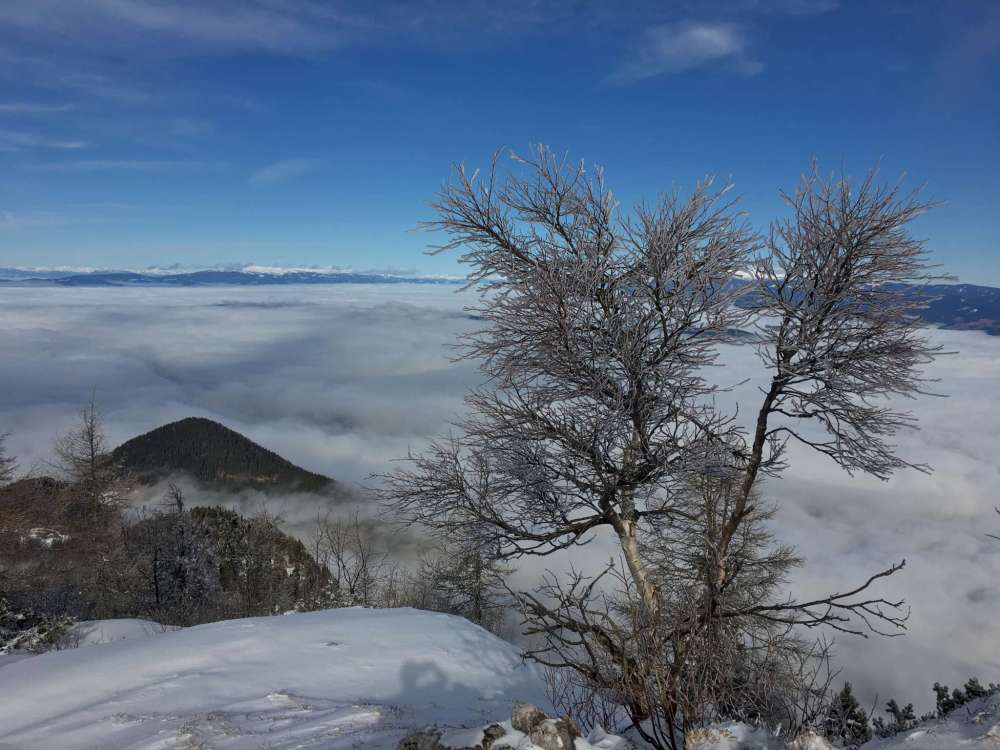 20170205_095944912_ios-2048