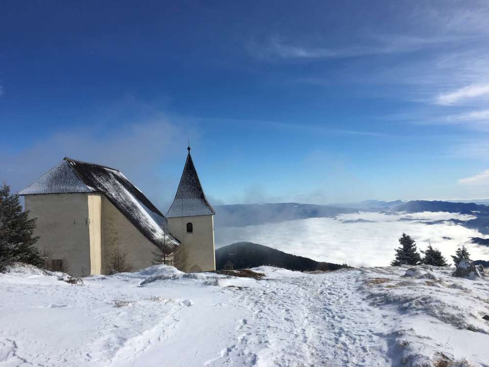 20170205_100329639_ios-2048