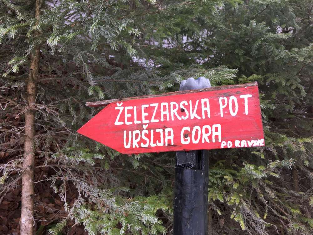 20170208_083141244_ios-2048