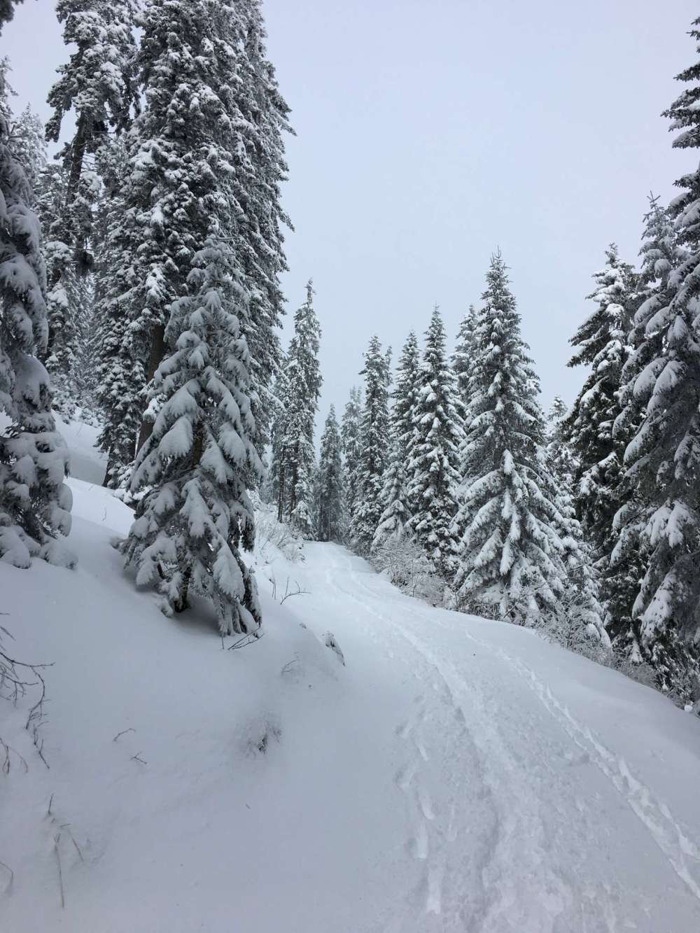 20170208_092723348_ios-2048