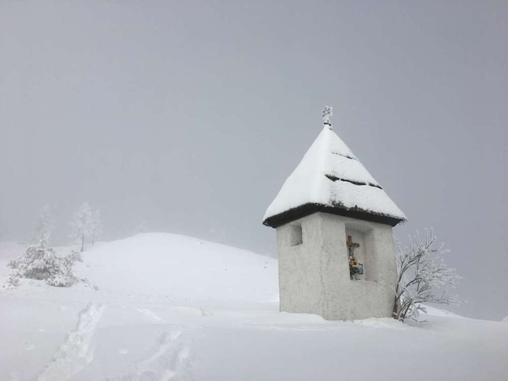 20170208_094456160_ios-2048