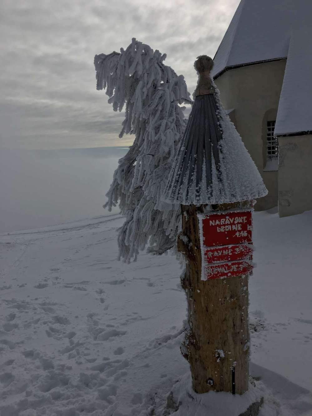 20170208_105017827_ios-2048