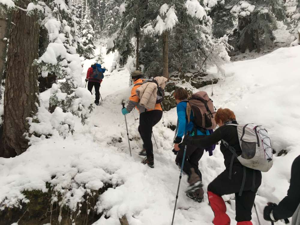 20170211_061818586_ios-2048