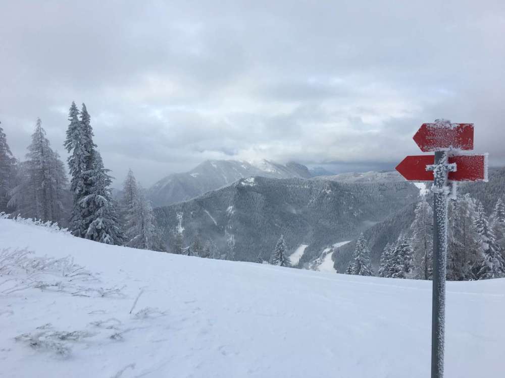 20170211_074607167_ios-2048