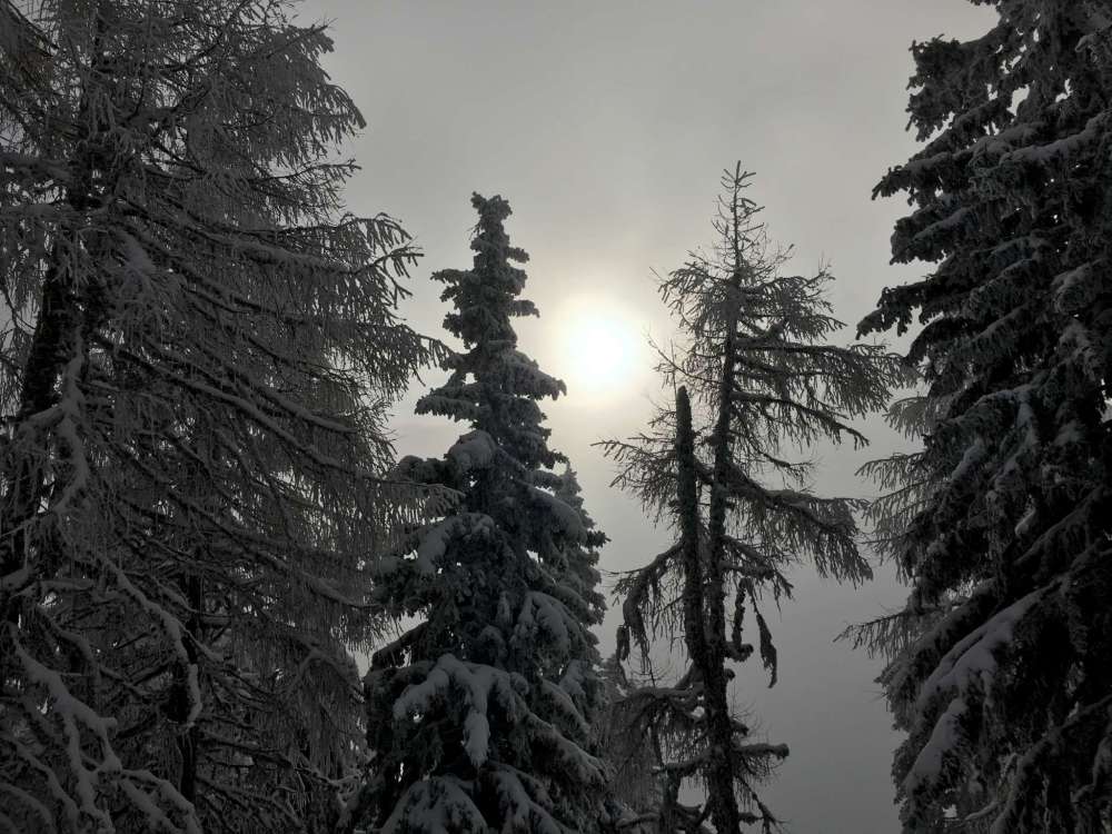 20170211_080336716_ios-2048