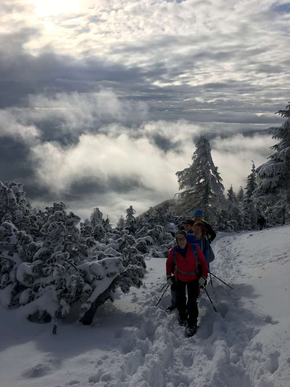 20170211_081157356_ios-2048