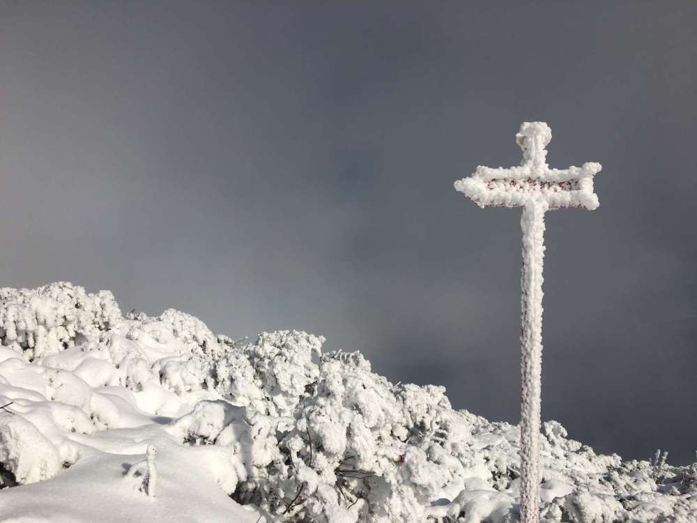 20170211_081849152_ios-2048