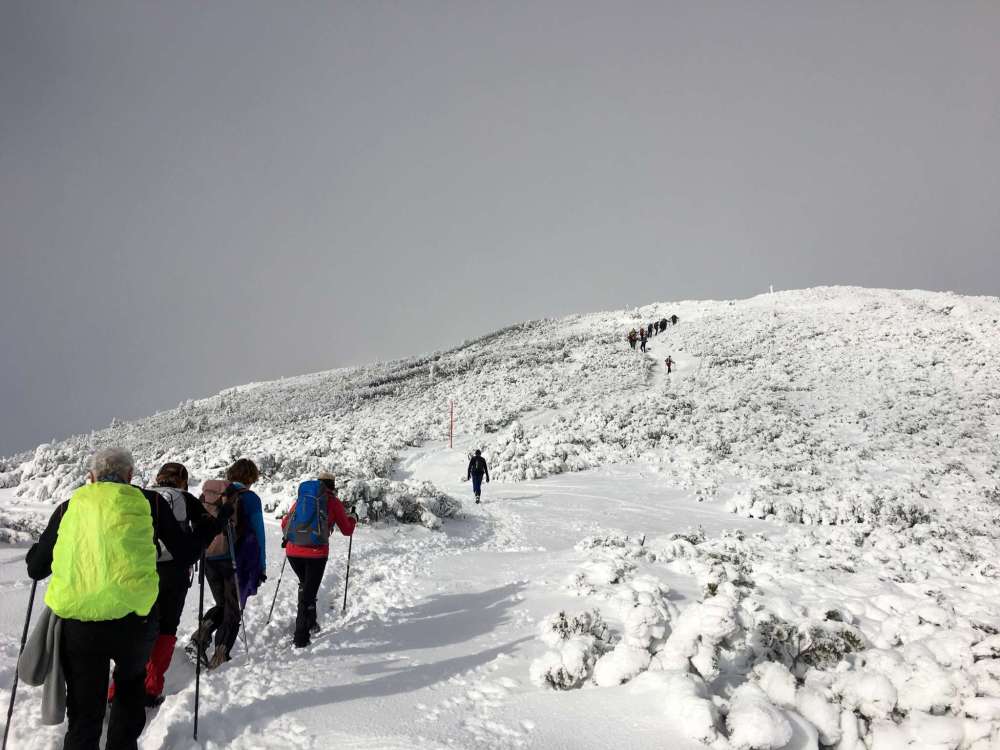 20170211_083052205_ios-2048