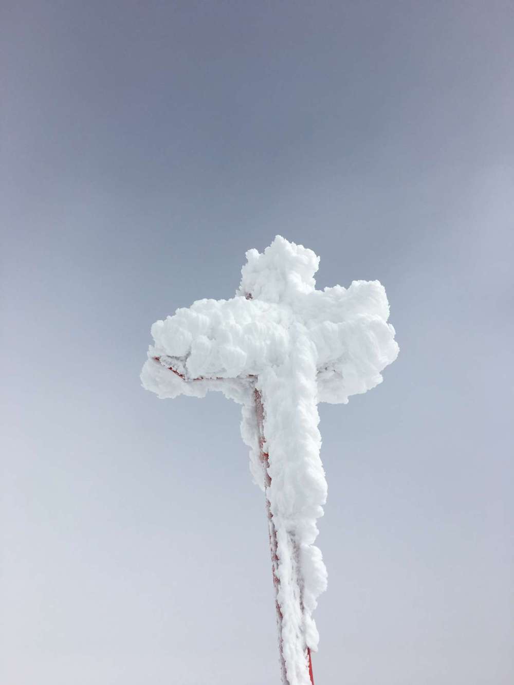 20170211_083839818_ios-2048