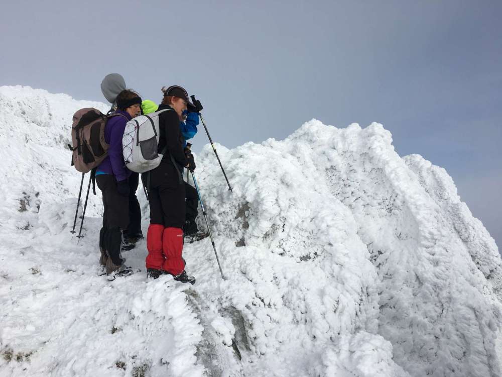 20170211_085456115_ios-2048