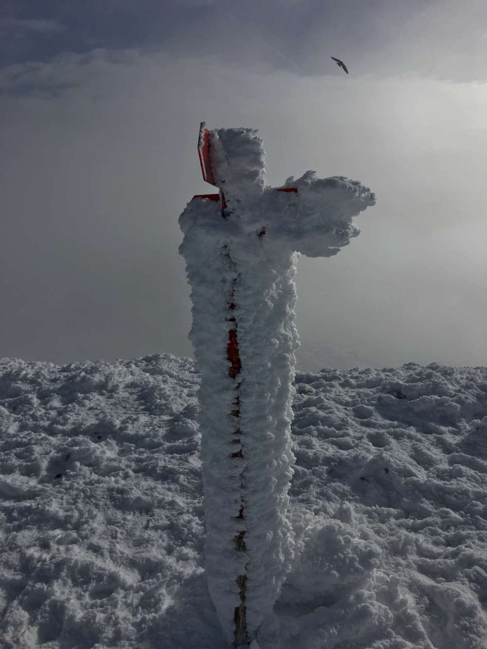 20170211_090031372_ios-2048