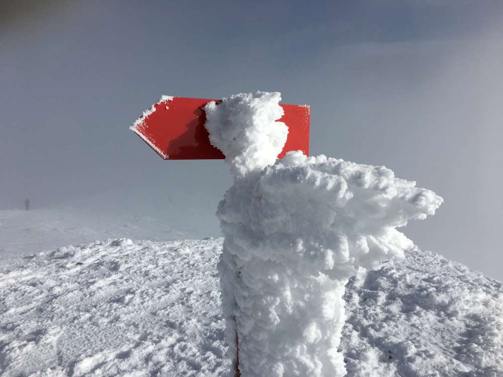 20170211_090715989_ios-2048