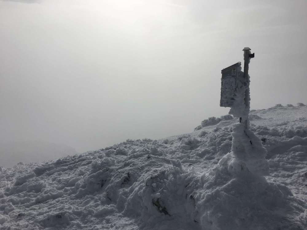 20170211_090724662_ios-2048