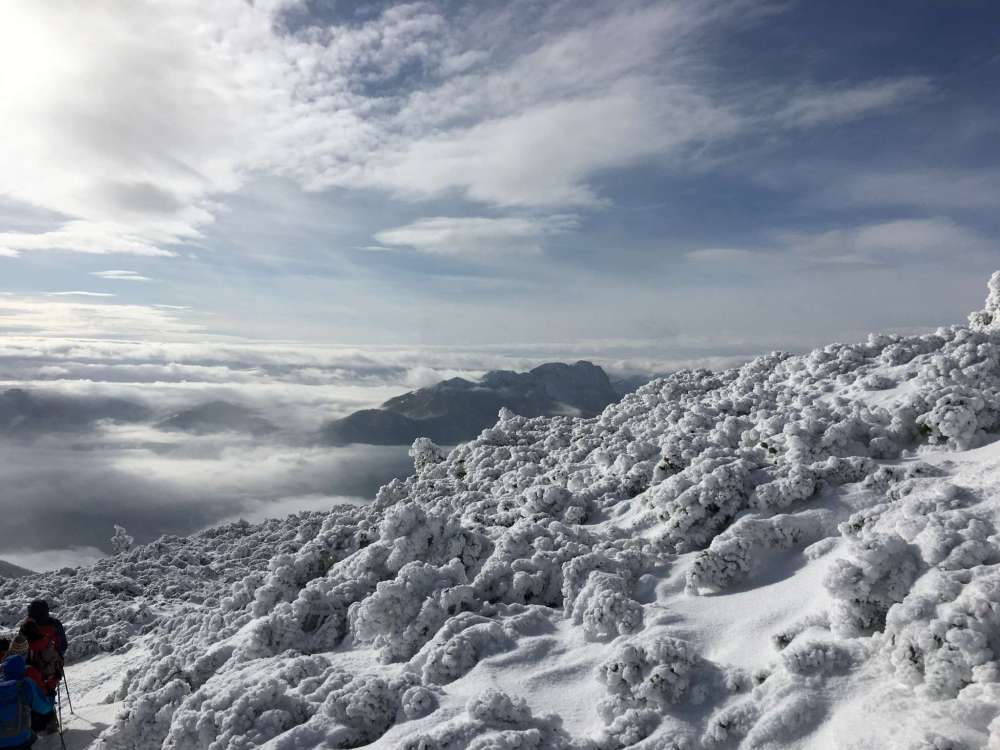 20170211_091925683_ios-2048