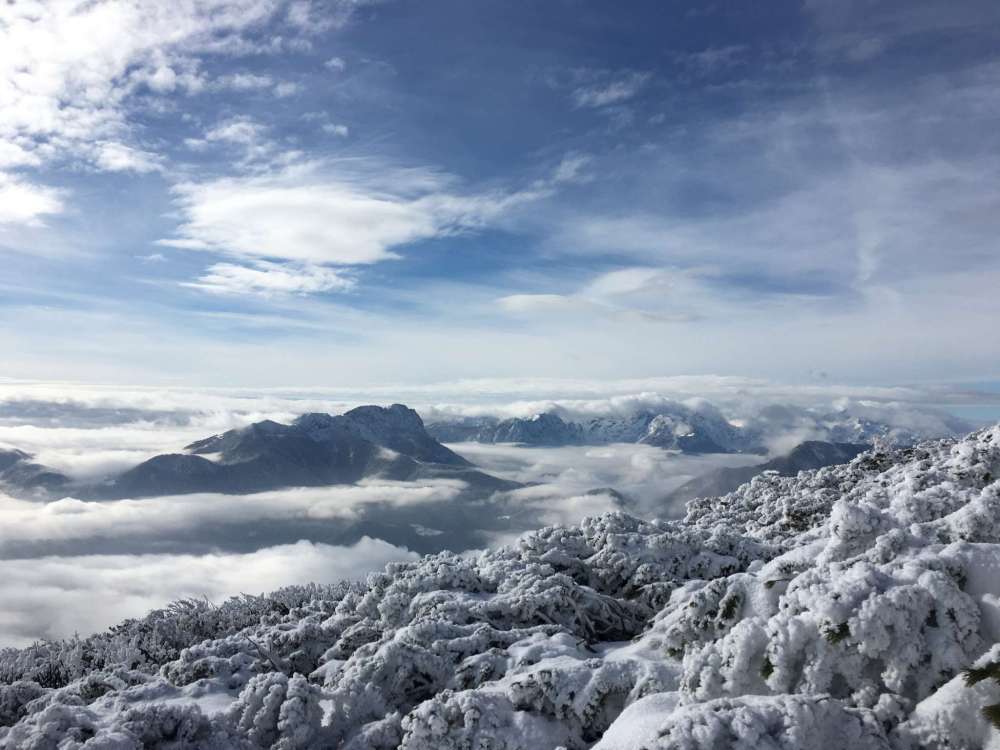 20170211_092319296_ios-2048