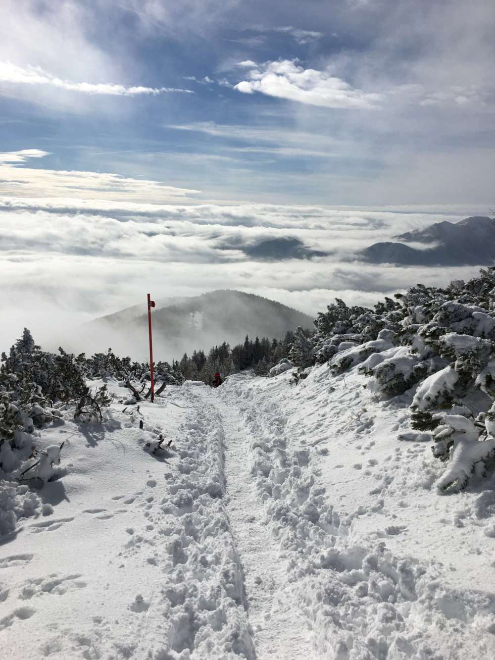 20170211_094117542_ios-2048