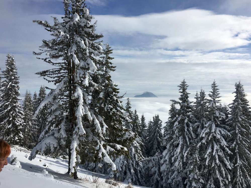 20170211_095412614_ios-2048