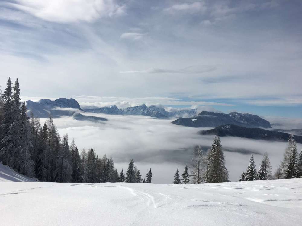 20170211_095605731_ios-2048