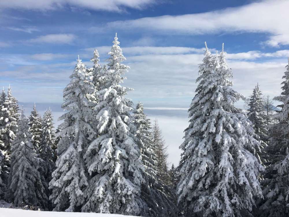 20170211_095624645_ios-2048