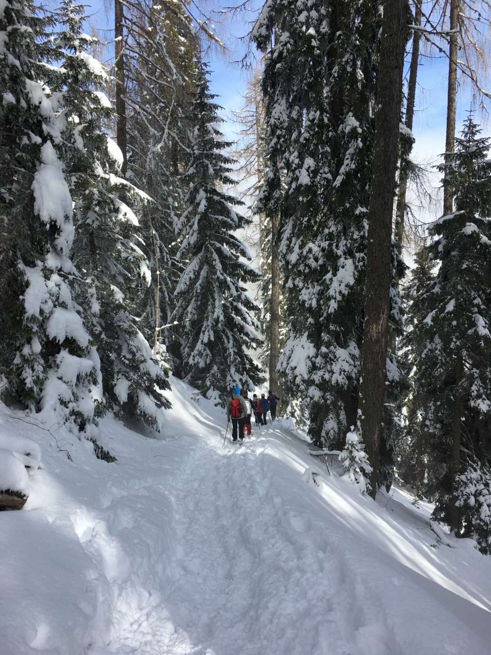 20170211_105138093_ios-2048