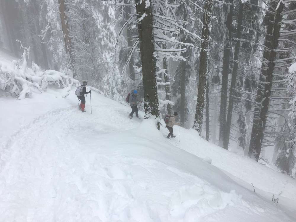 20170211_105551103_ios-2048