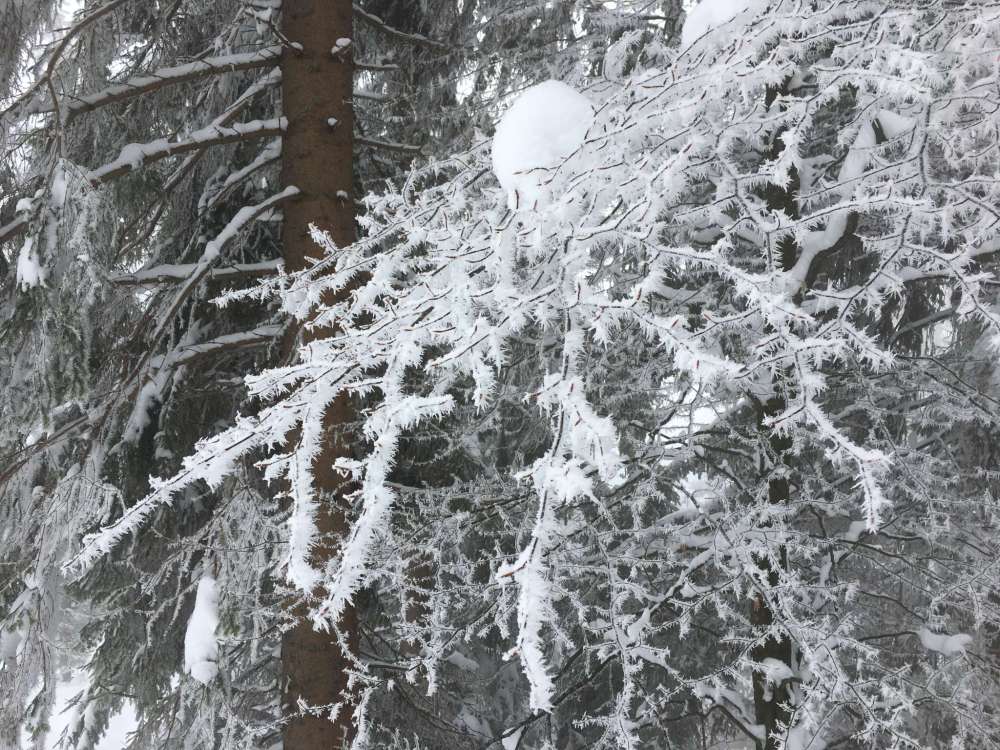 20170211_110019614_ios-2048