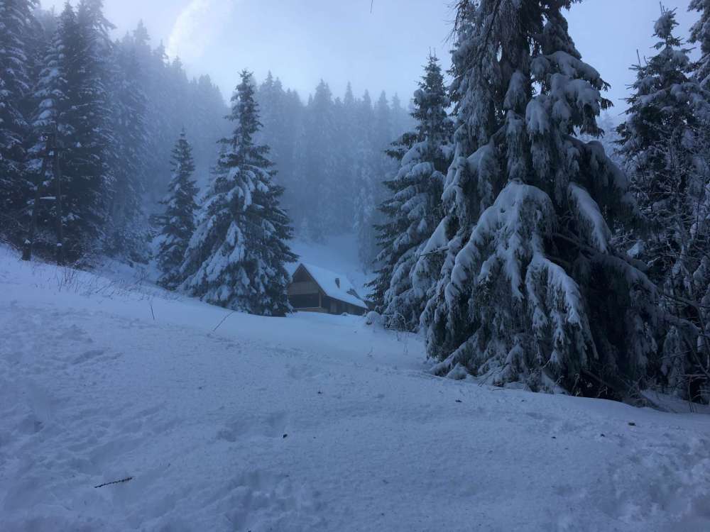 20170212_075838926_ios-2048