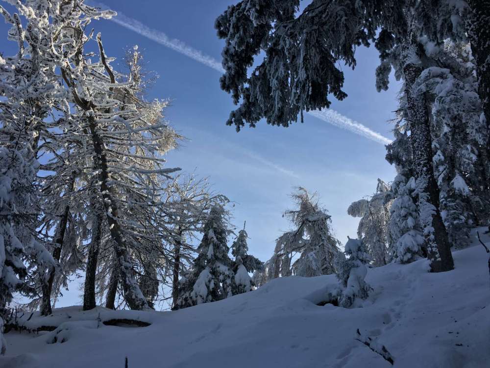 20170212_080623245_ios-2048