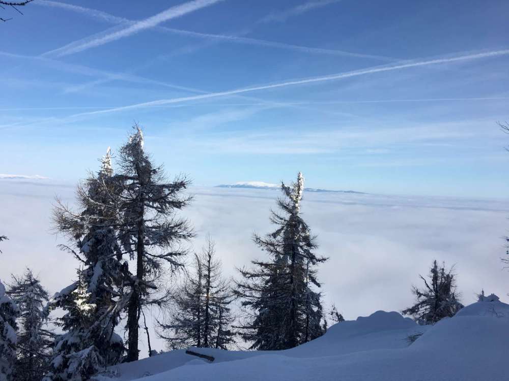 20170212_081742047_ios-2048