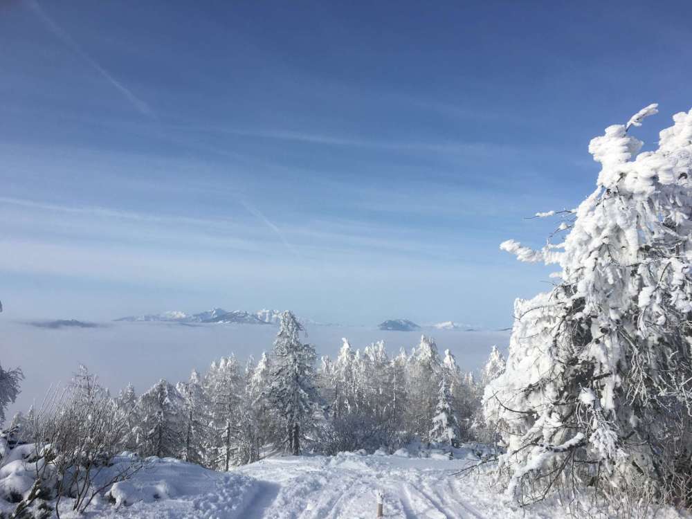 20170212_081910287_ios-2048