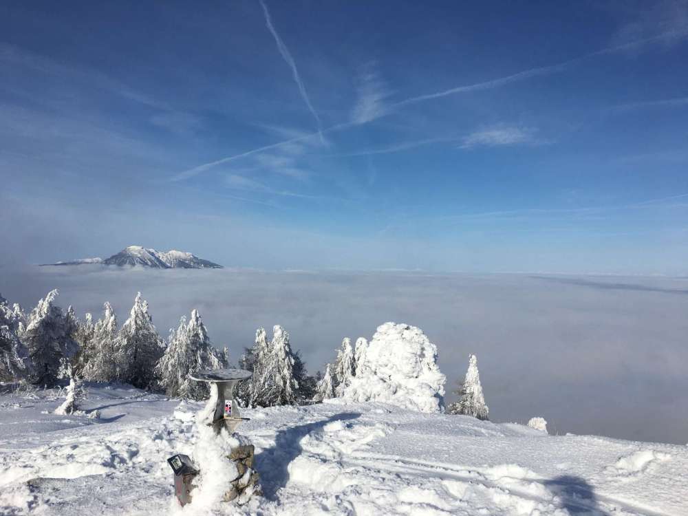 20170212_082031079_ios-2048