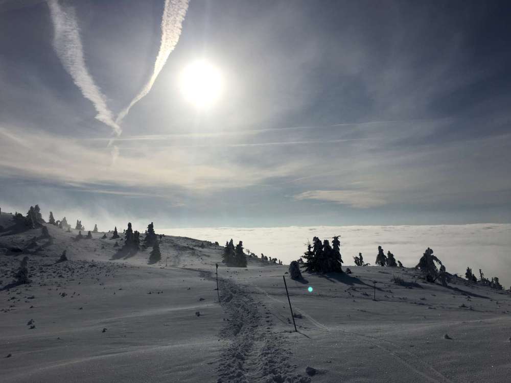 20170212_082111876_ios-2048