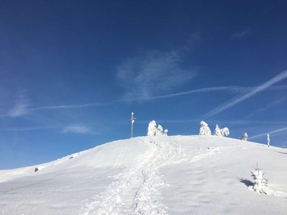 20170212_082136694_ios-2048