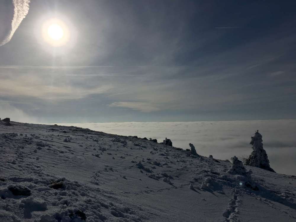 20170212_082339218_ios-2048