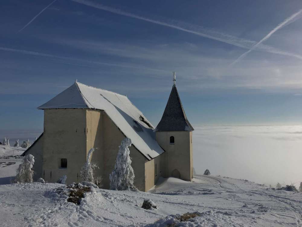 20170212_082444666_ios-2048