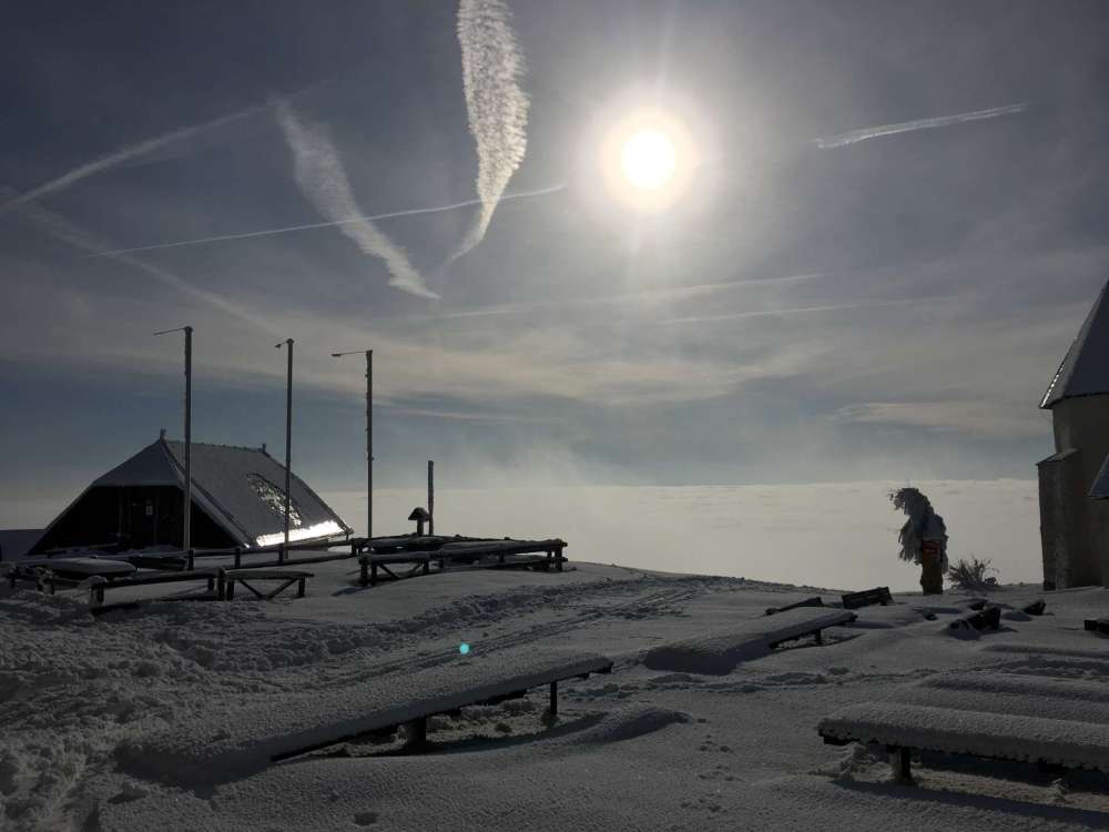 20170212_082633809_ios-2048