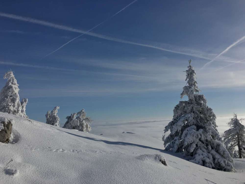 20170212_082811814_ios-2048